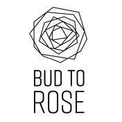 Bud To Rose