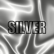 Silverfärgade smycken