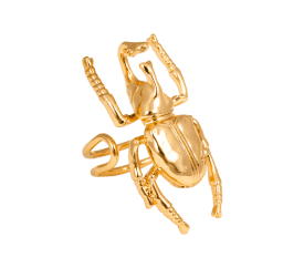 Ioaku - Ring Beetle Guld