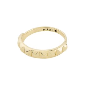 Pilgrim - Ring Eaa Guld