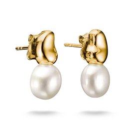 Thomas Sabo - Örhängen Pärla Stift Guld