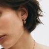 Edblad - Örhängen Amore Sparkle Hoops S Guld