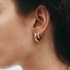 Edblad - Örhängen Crystalite Hoops L Guld