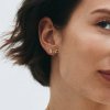 Edblad - Örhängen Dragonfly Studs Guld