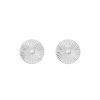 Snö of Sweden Örhängen Rule Circle Studs Silver