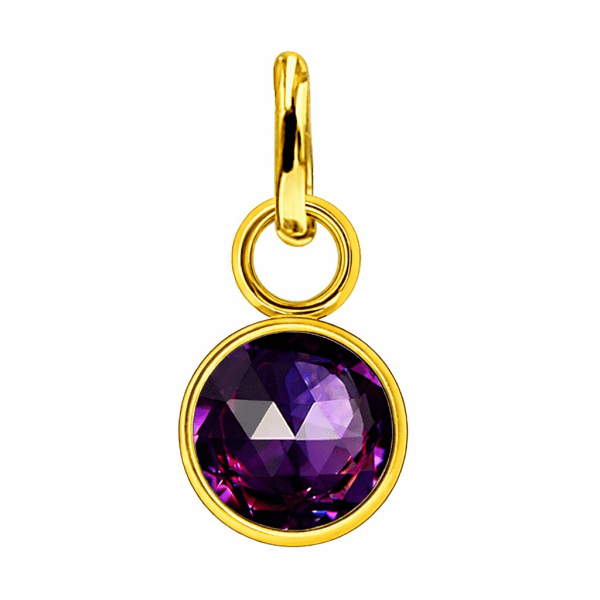 Anna K Jewelry - Berlock Månadssten Februari Guld