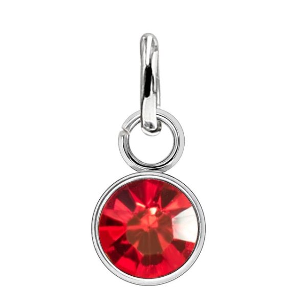 Anna K Jewelry - Berlock Månadssten Januari Stål