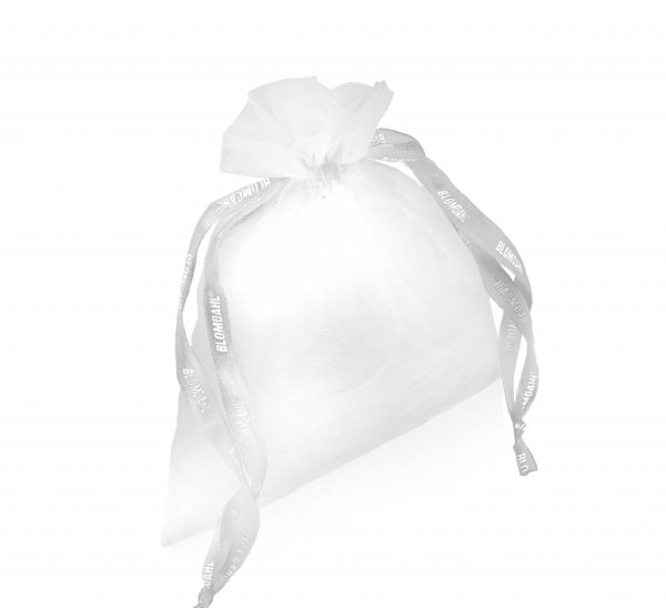 Blomdahl - Örhängen Stjärna Plastic Klar