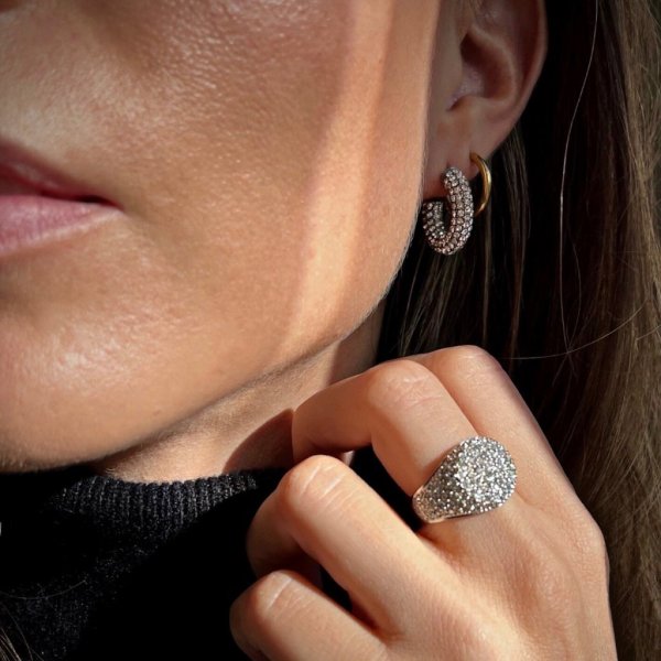 Bud To Rose - Örhängen Lola Crystal Stål