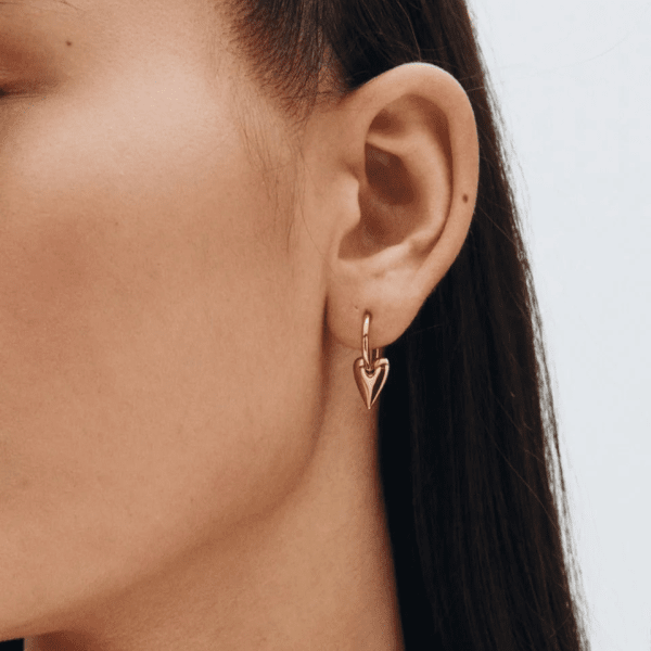 Edblad - Örhängen Amore Hoops S Guld