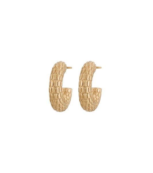 Edblad - Örhängen Snake Creol Guld