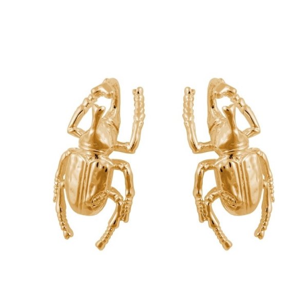 Ioaku - Örhängen The Beetle Guld
